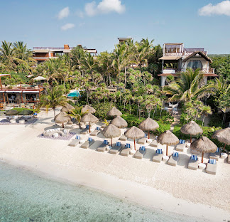 Dive into Paradise: Discover the Magic of Jashita Tulum