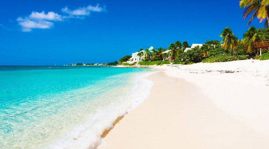 Love Caribbean - Jamaica Edition